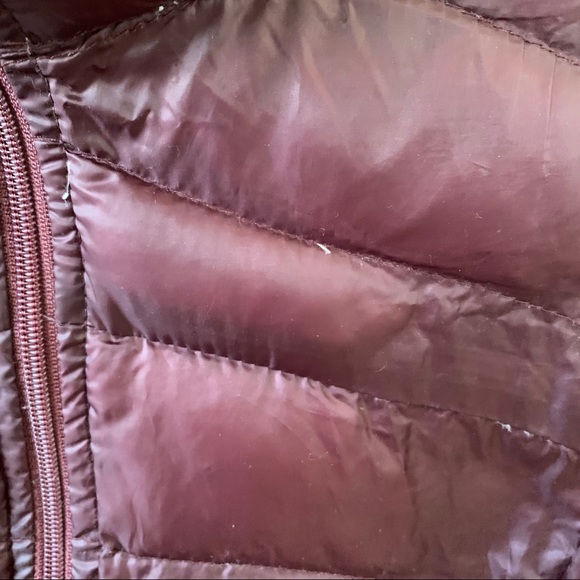 Burgundy Lightweight Puffer Jacket - Picture 4 of 4